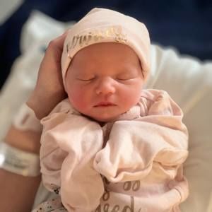 Meet your Posher, Rose